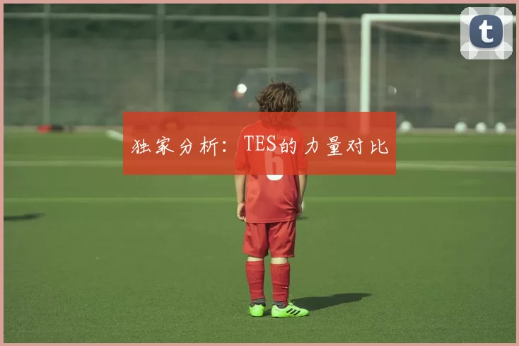 独家分析：TES的力量对比