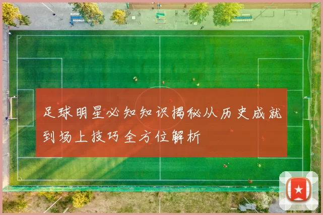 足球明星必知知识揭秘从历史成就到场上技巧全方位解析