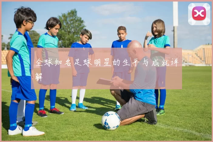 全球知名足球明星的生平与成就详解