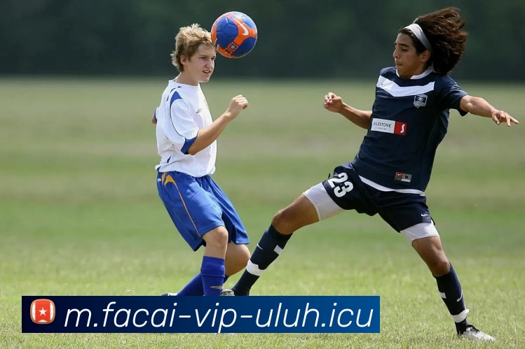 星空体育注册平台生态图